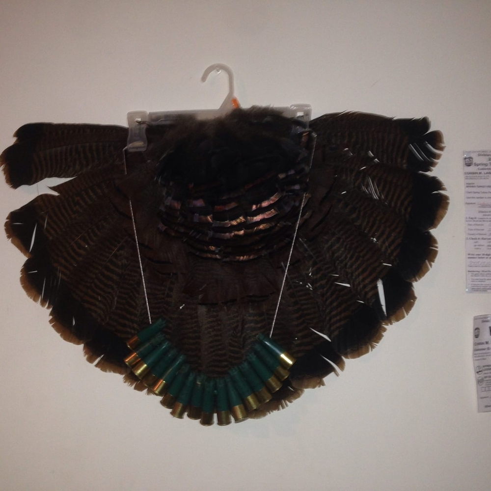 Meet your Posher, Corbin